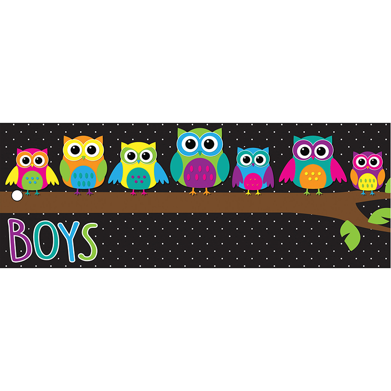 Laminated Hall Pass Owls Boys