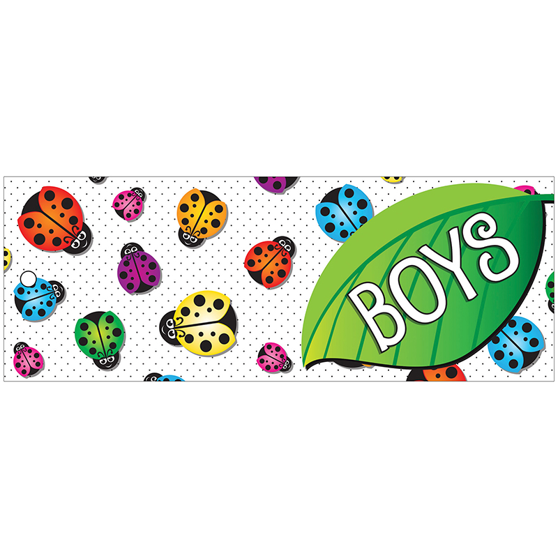 Laminated Hall Pass Ladybug Boys