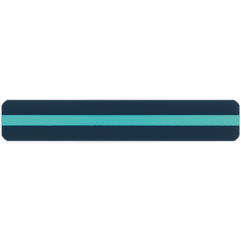 Reading Guide Strips Aqua