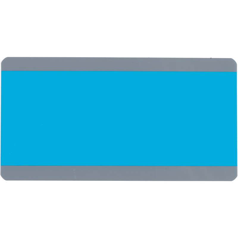 12 Pk Blue Big Reading Guide