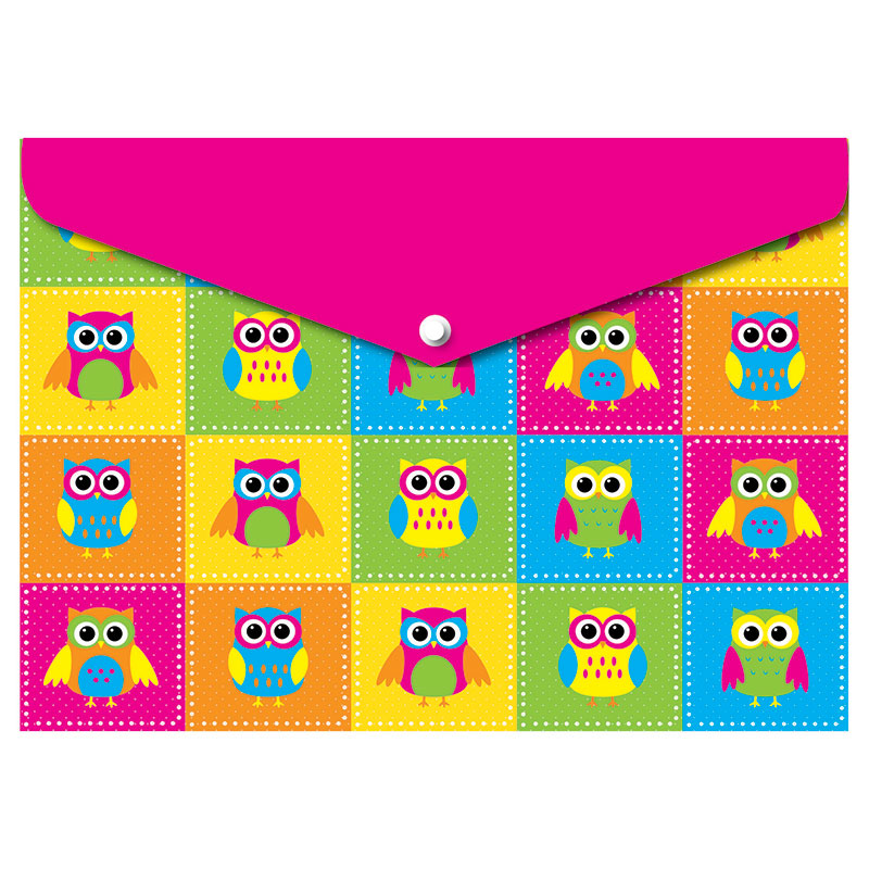 Decorated Poly Folder Color Owls