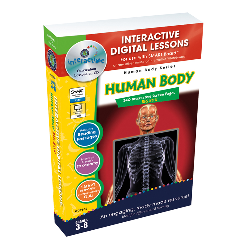 Human Body Big Box Interactive