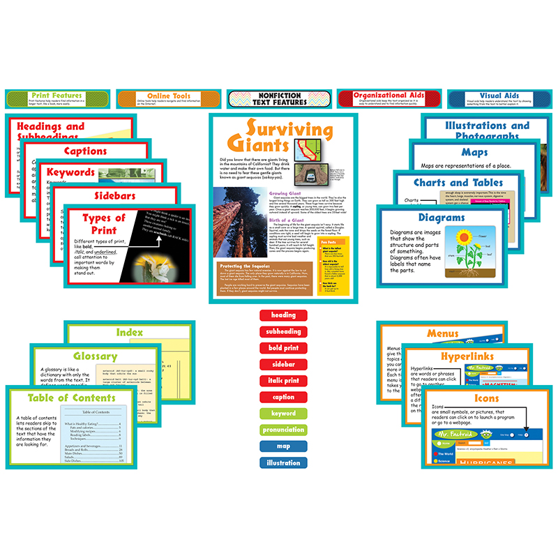 Nonfiction Text Features Bbs