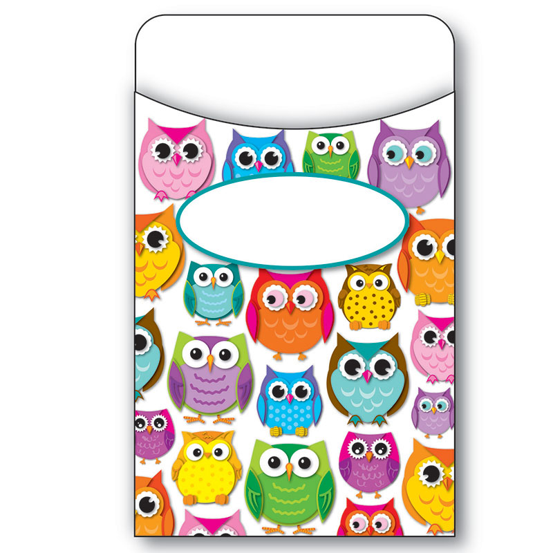 (6 Pk) Colorful Owls Library