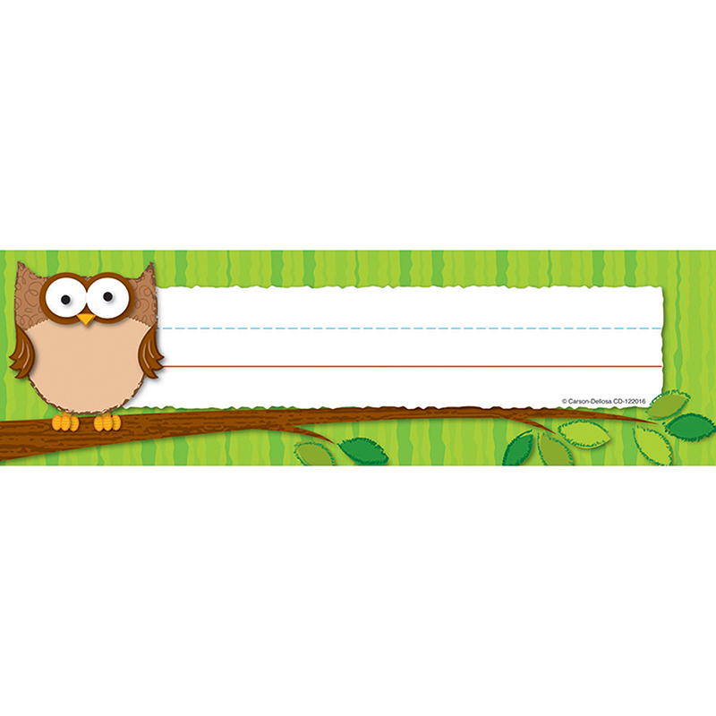 (6 Pk) Owls Desk Nameplates