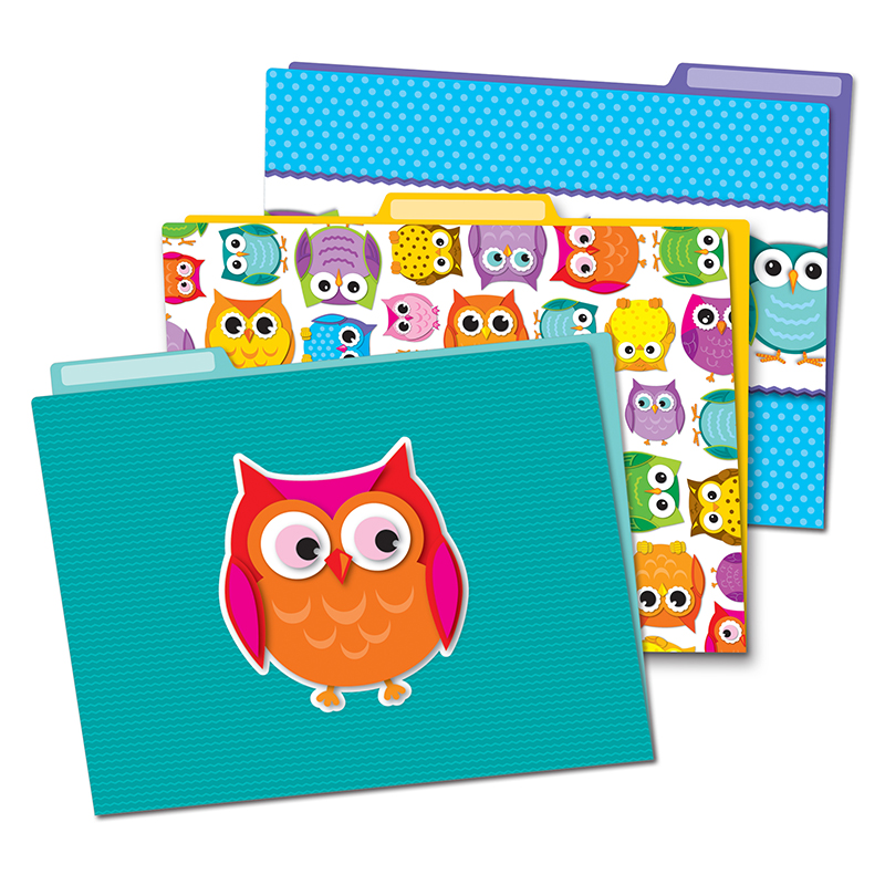 (6 Pk) Colorful Owls Folders