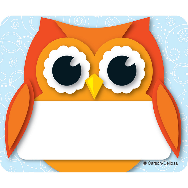 Colorful Owl Name Tags