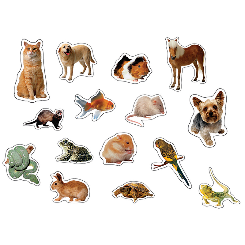 Pets Photographic Stickers