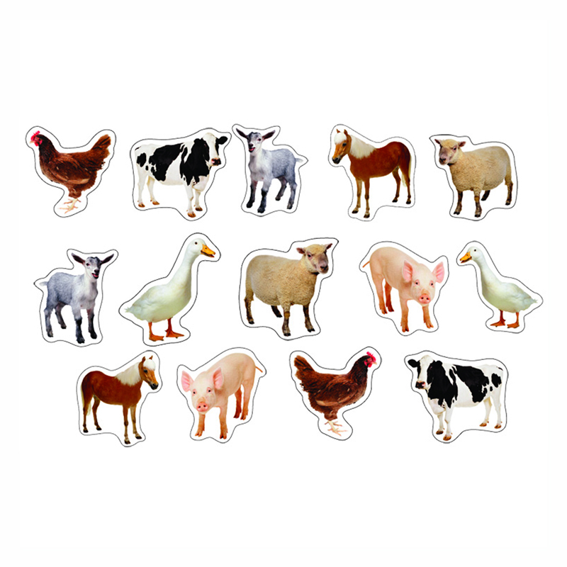 (12 Pk) Farm Animals Photographic