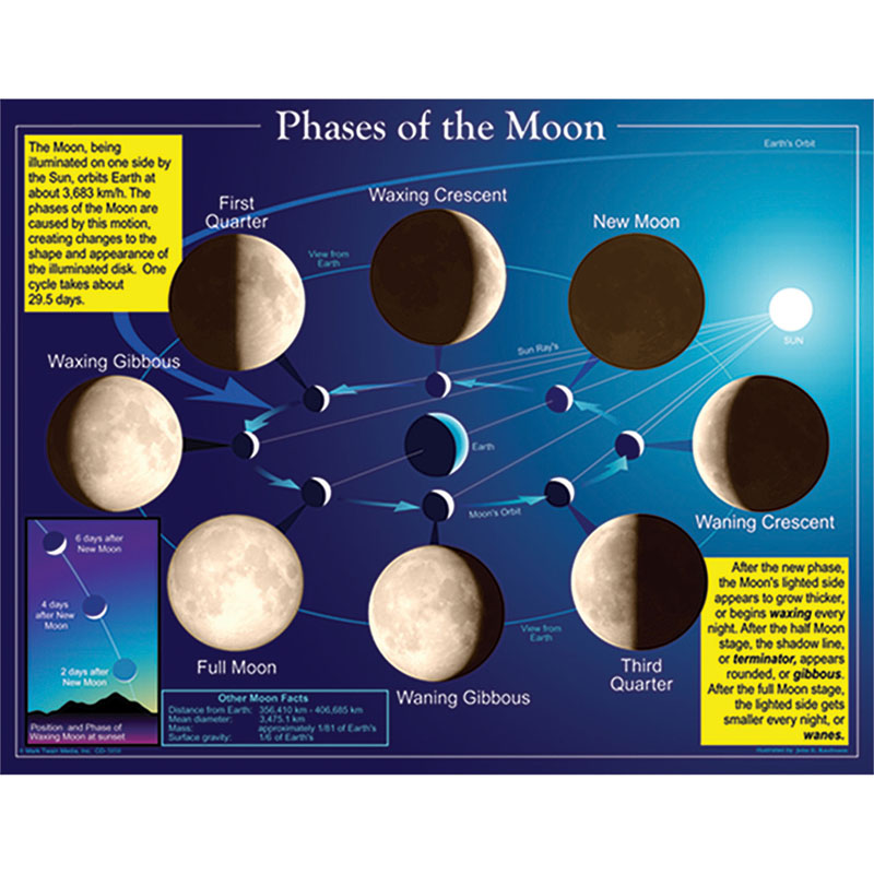Chartlet Phases Of The Moon