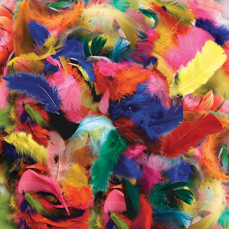 Feathers Hot Colors