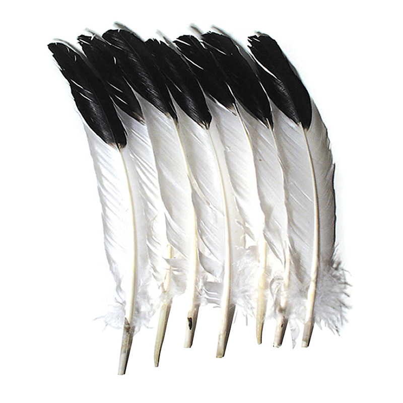 (6 Pk) Imitation Eagle Feathers