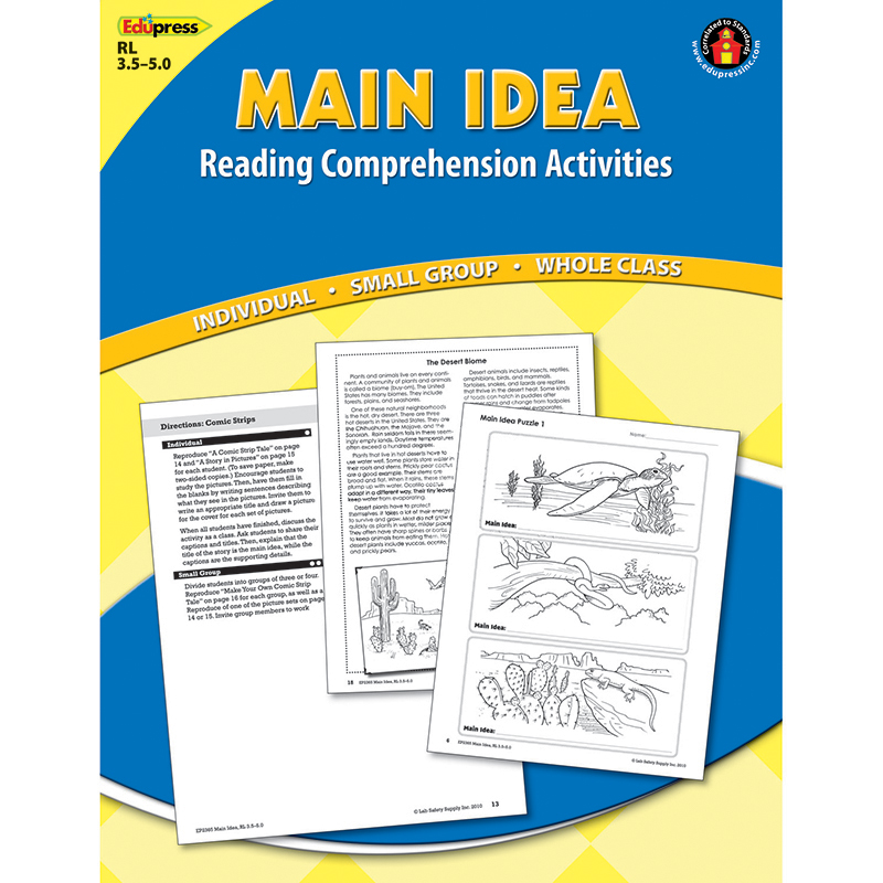 Main Idea Comprehension Book Blue