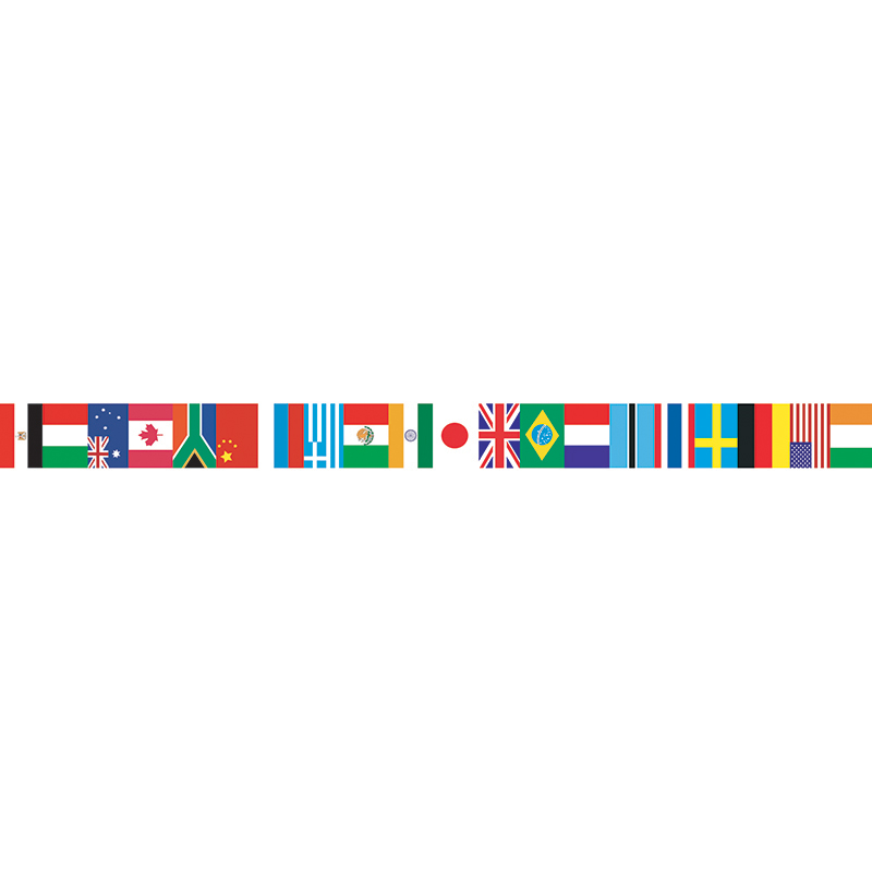 (6 Pk) International Flags