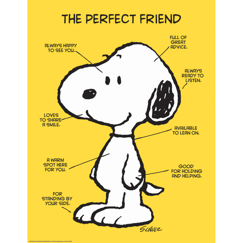 Peanuts The Perfect Friend 17x22