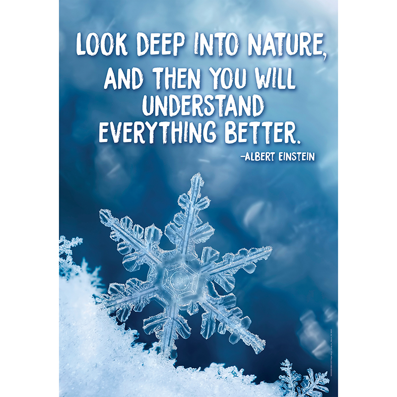 Look Deep Into Nature Poster 13x19