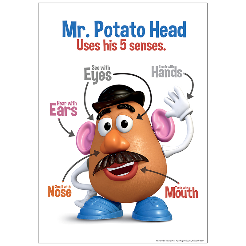 Mr Potato Head 5 Senses 13x19