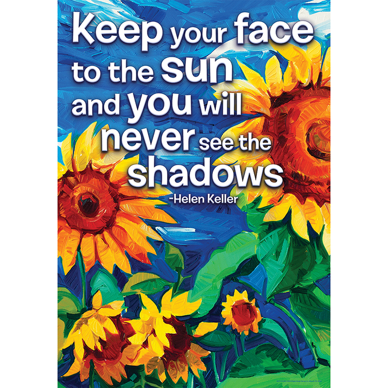 Keep Your Face To The Sun Posters