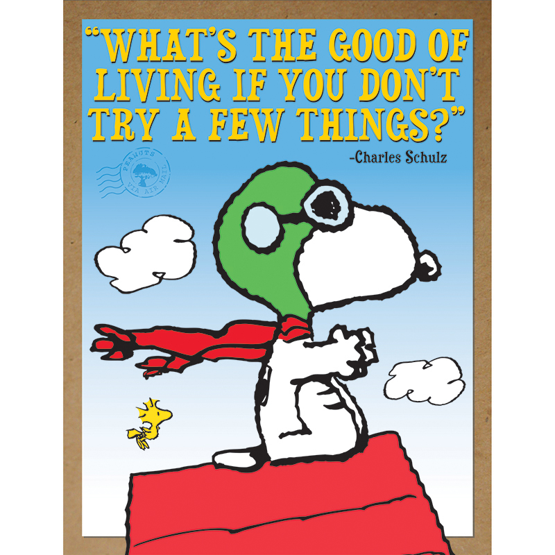 Peanuts Flying Ace Poster