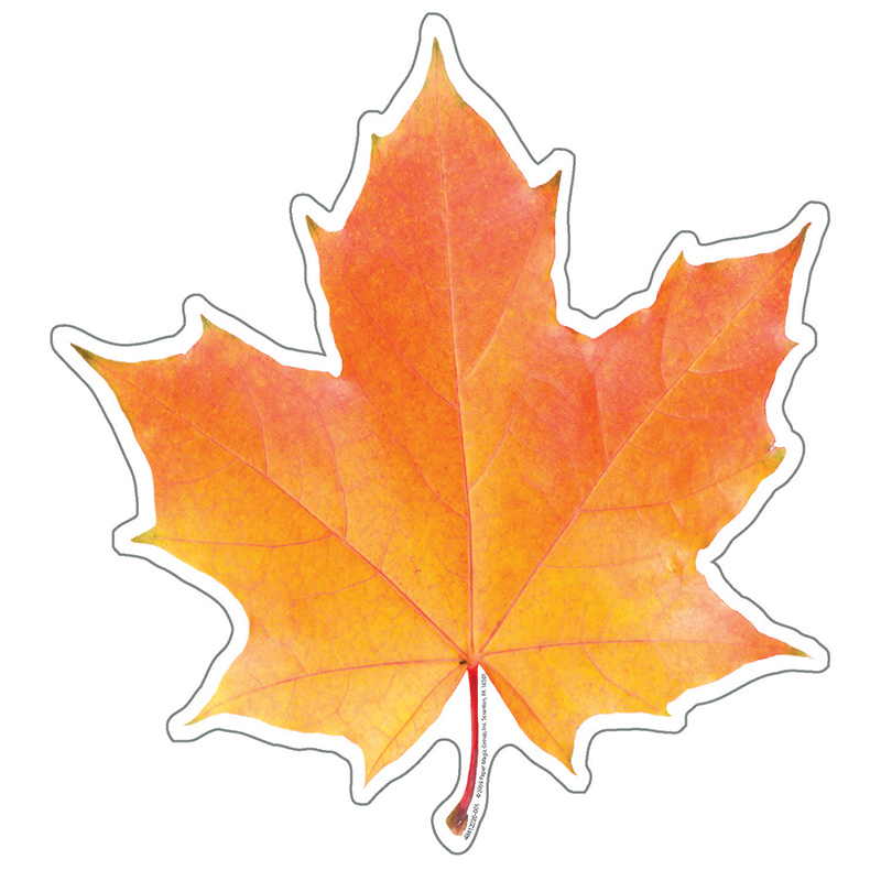 Photo Leaf Paper Cut-Outs