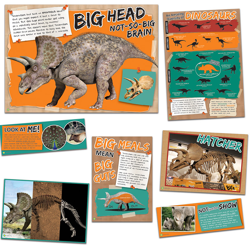 Smithsonian Amzing Dinosaurs Mascot