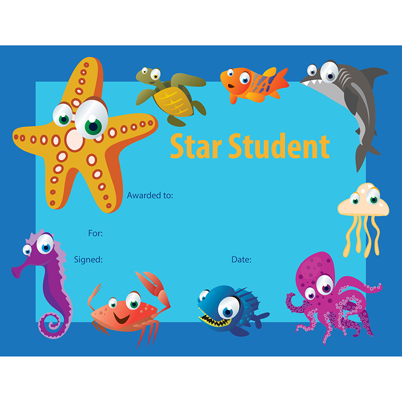 Star Student Certificate 30 Pk