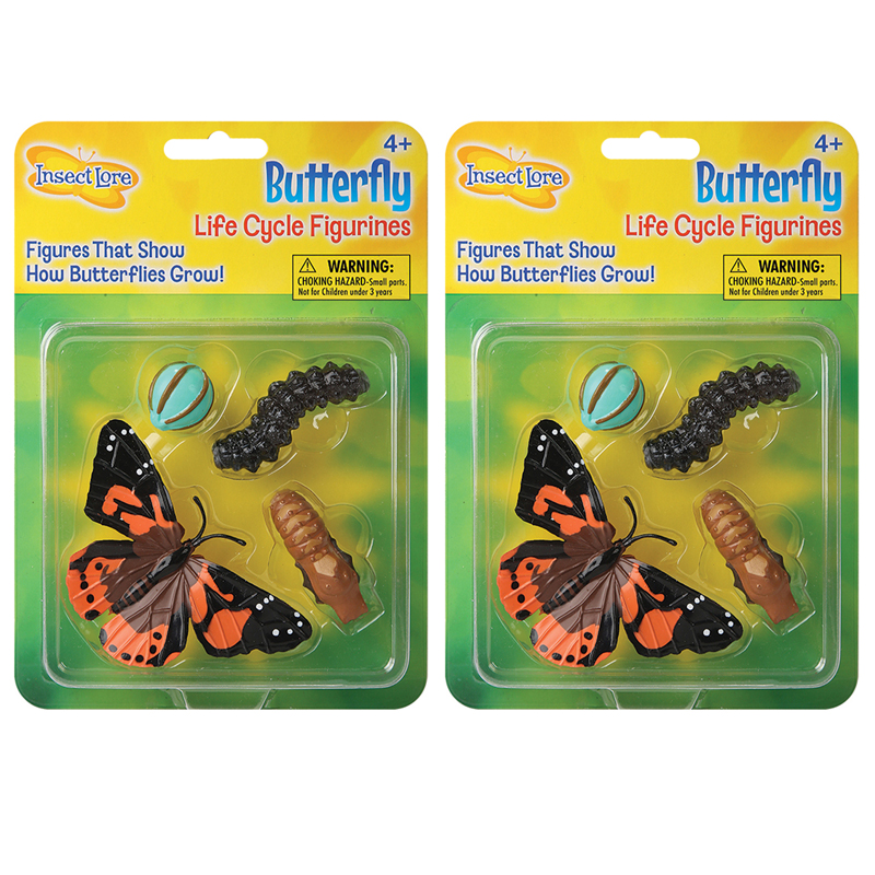 (2 Ea) Butterfly Life Cycle Stages