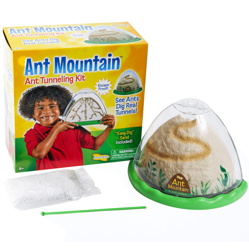 Ant Mountain