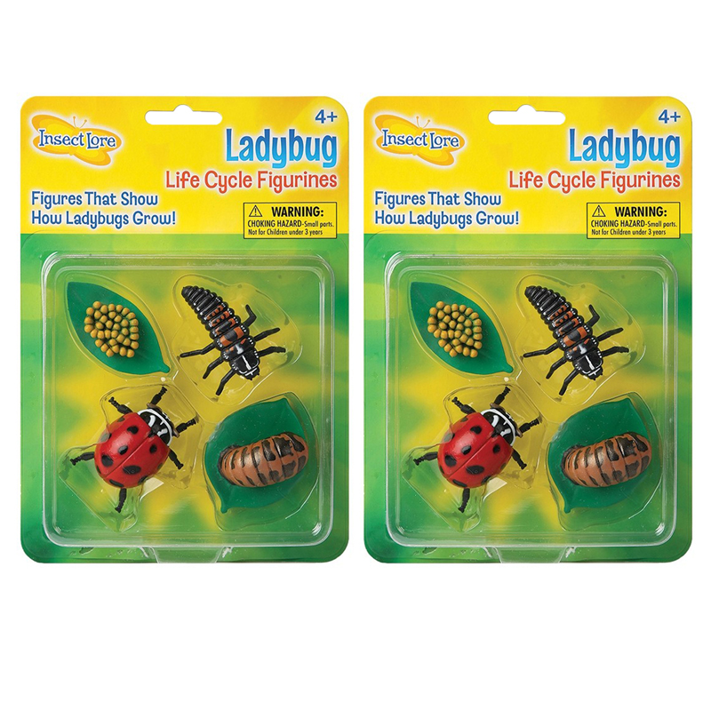 (2 Ea) Ladybug Life Cycle Stages