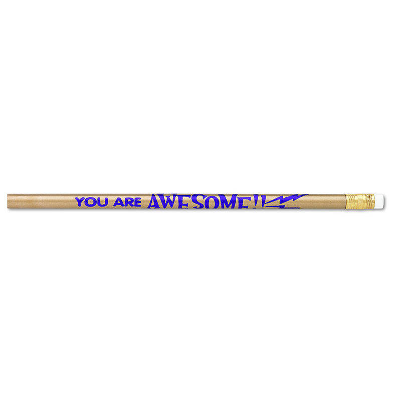 (12 Dz) Pencils You Are Awesome