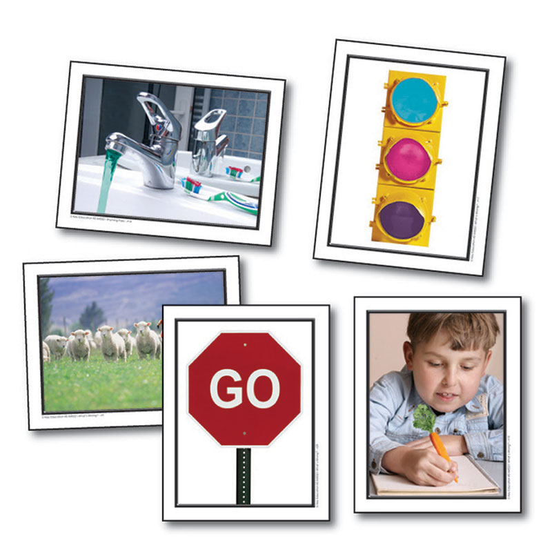 Photographic Learning Cards Whats