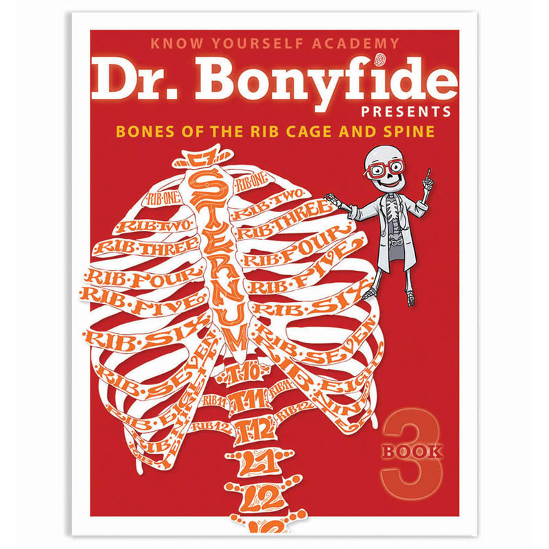 Bones Of Rib Cage And Spine