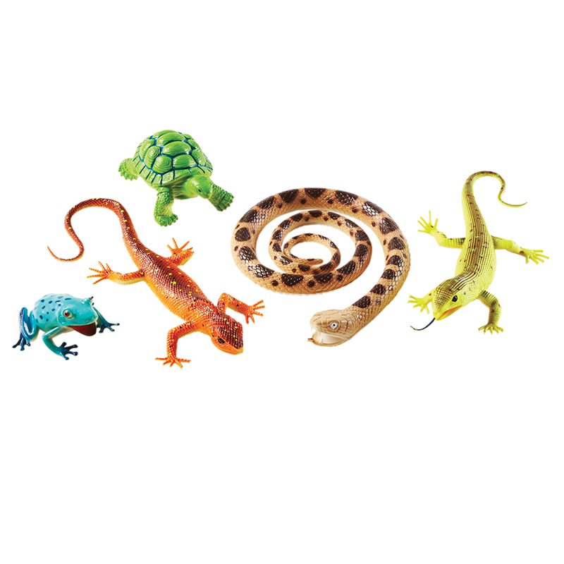 Jumbo Reptiles And Amphibians