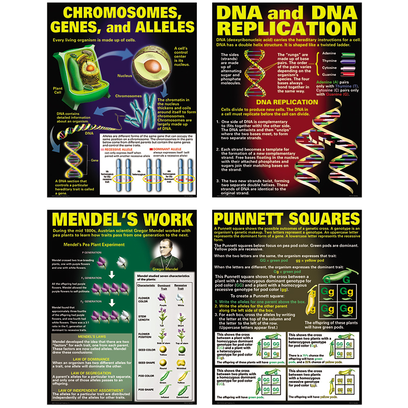 Dna & Heredity Poster Set