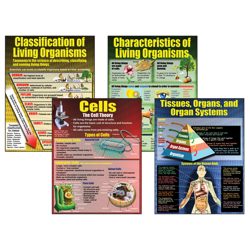 Living Organisms Teaching Poster St