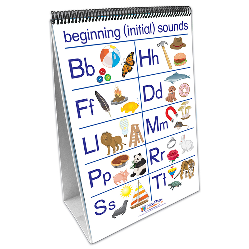 Early Childhood Ela Phonemic