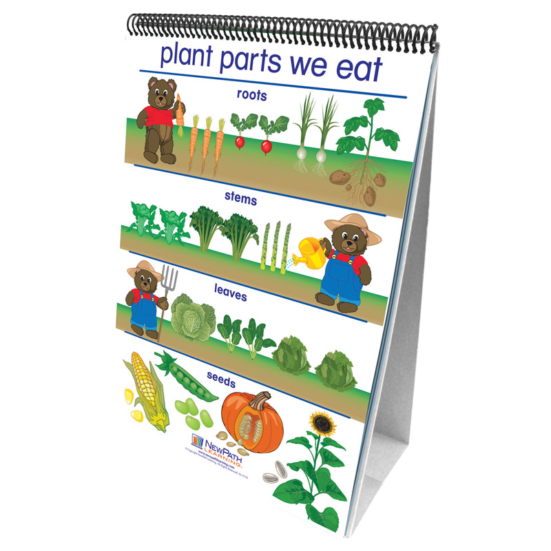 Flip Charts All About Plants Early