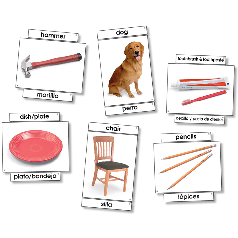 Basic Vocabulary Language Cards