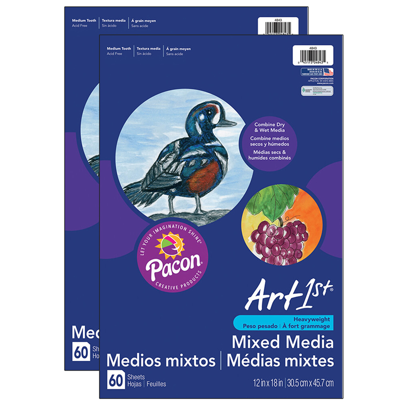 (2 Pk) Art1st Multi Media Art 12x18