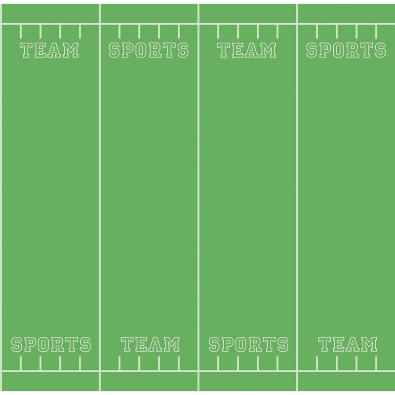 Fadeless 48x12 Team Sports 4rls/Ctn