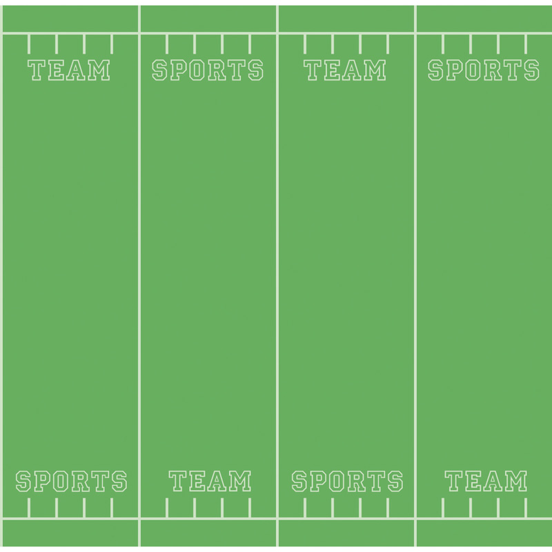 Fadeless 48x12 Team Sports 4rls/Ctn