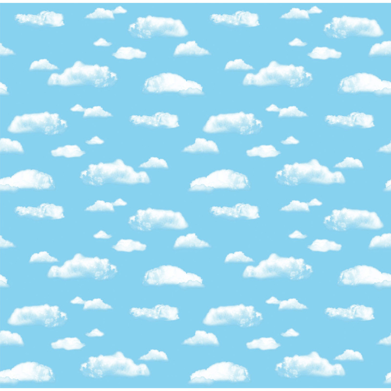 Fadeless 48 X 50 Roll Cloud Boxed