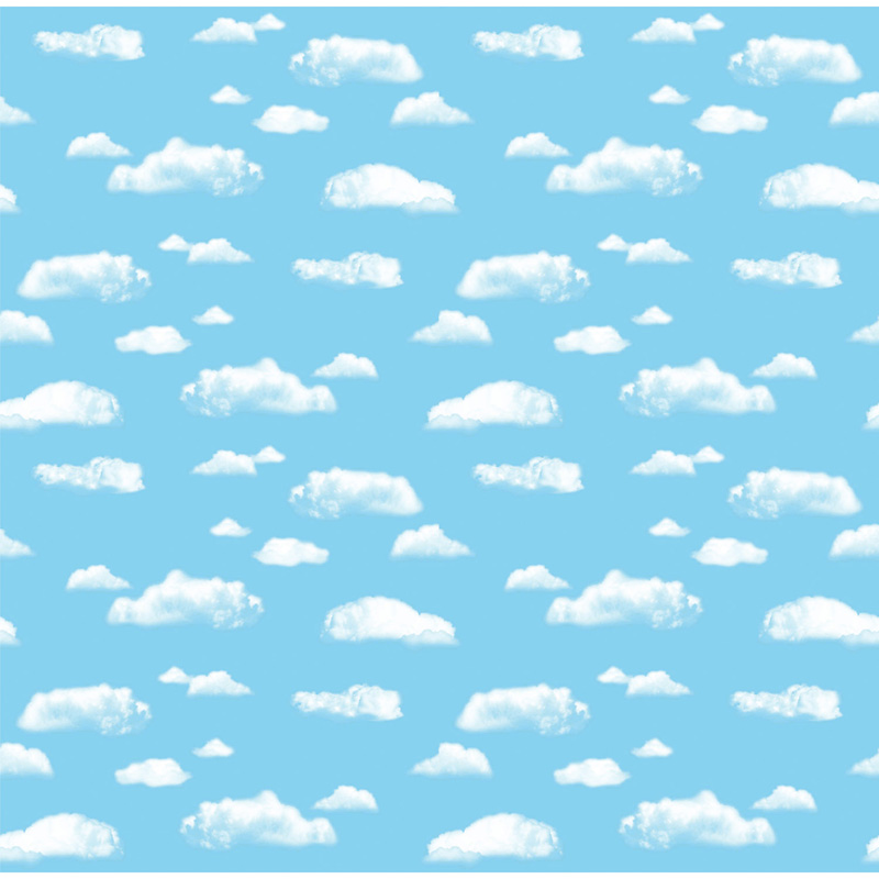 Fadeless 48x12 Cloud Sold 4rls/Ctn