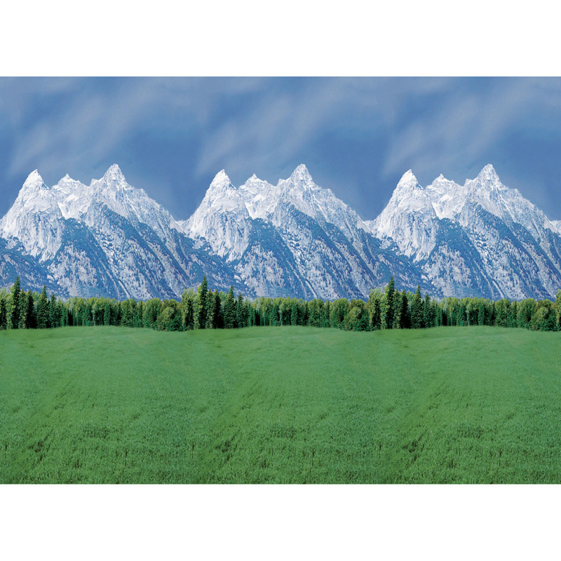 Fadeless 48x50 Roll Mountains Boxed