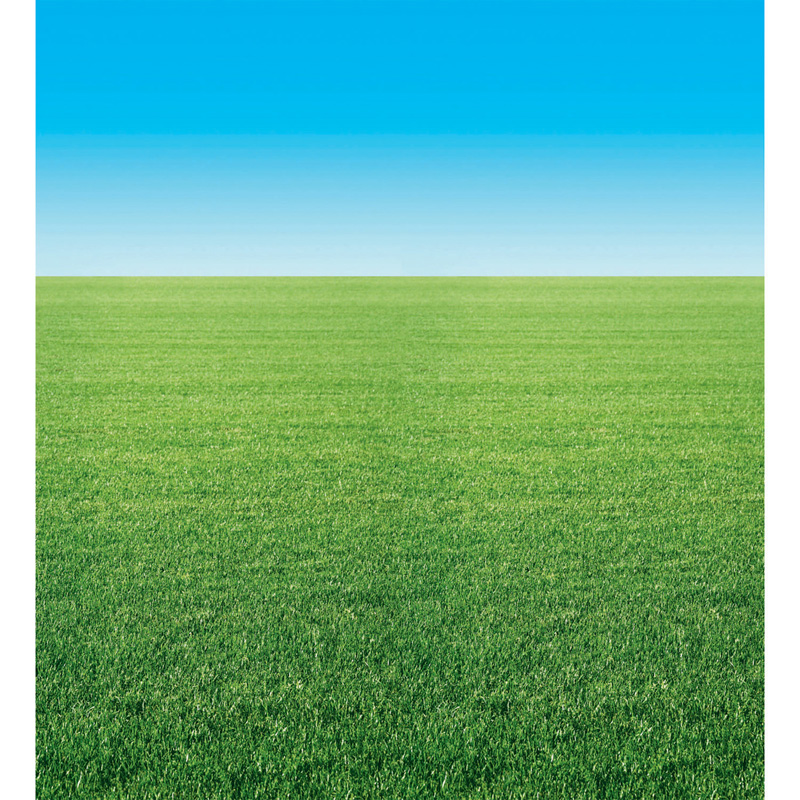 Fadeless 48x50 Summer Horizon Roll
