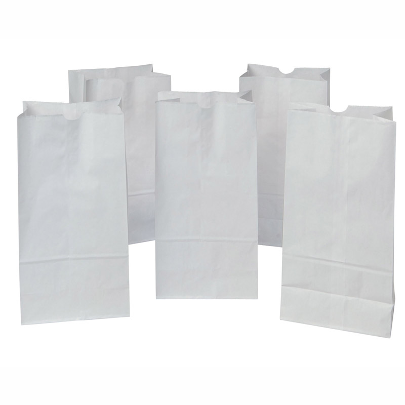 Rainbow Bags 50 White 8x14