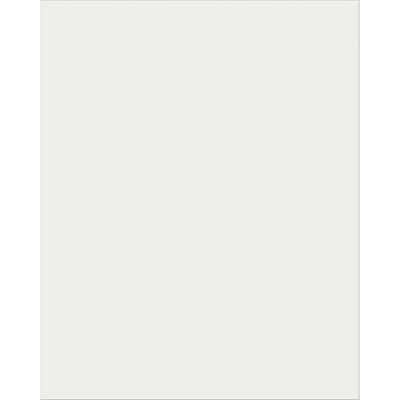 Plastic Poster Brd 22x28 Clear 25sh