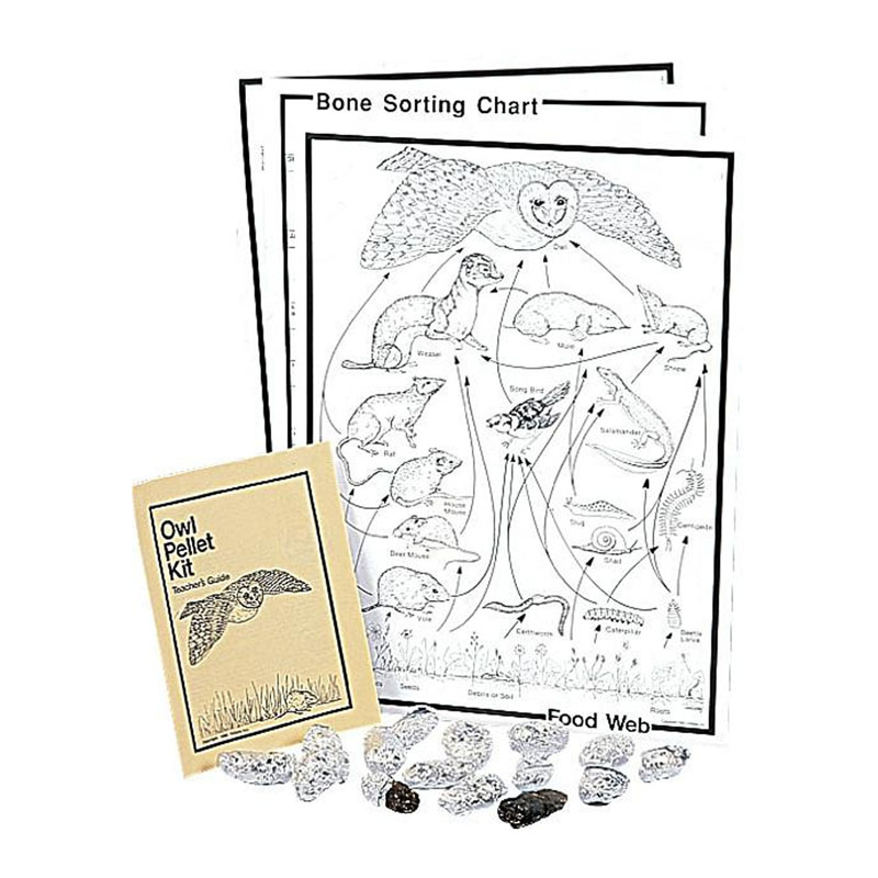 Owl Pellet Kit Classroom Kit