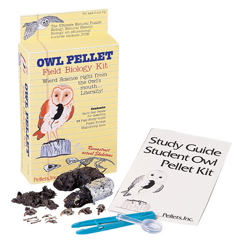 Student Owl Field Biology Kit