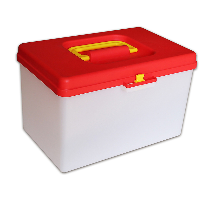 Store And Go Storage Tote